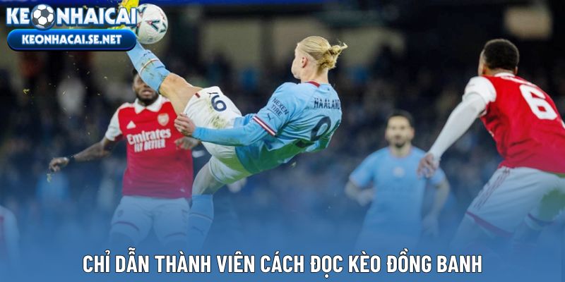 Chỉ dẫn thành viên cách đọc kèo đồng banh