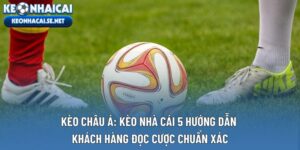 Kèo Châu Á: Kèo Nhà Cái 5 Hướng Dẫn Khách Hàng Đọc Cược Chuẩn Xác